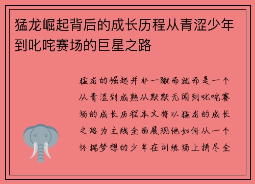 猛龙崛起背后的成长历程从青涩少年到叱咤赛场的巨星之路